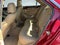 2008 Cadillac CTS AWD w/1SB